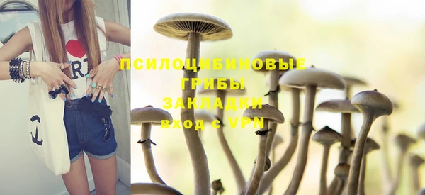 тгк Аркадак