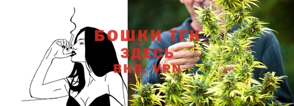 ПСИЛОЦИБИНОВЫЕ ГРИБЫ Армянск