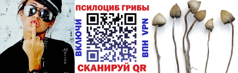 Галлюциногенные грибы GOLDEN TEACHER наркота Асбест